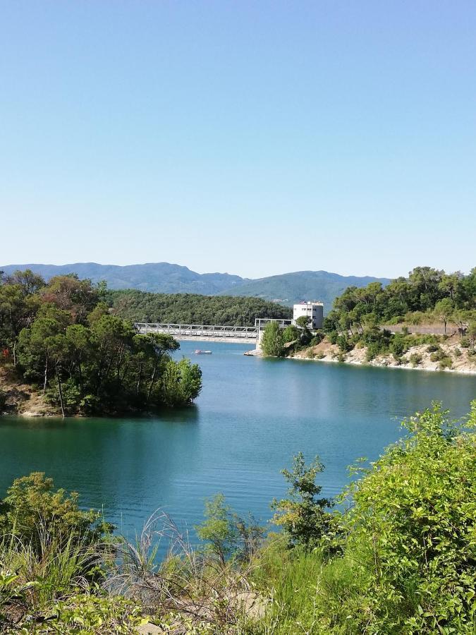 Il Lago Del Mugello B&B Barberino di Mugello Eksteriør billede