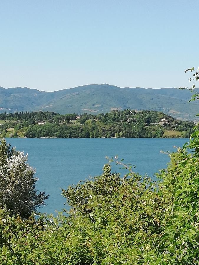 Il Lago Del Mugello B&B Barberino di Mugello Eksteriør billede